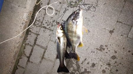 なんとか本命！！