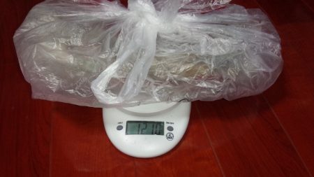 春イカ狙いで、また行って来ました。