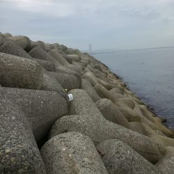 チョイ投げキス