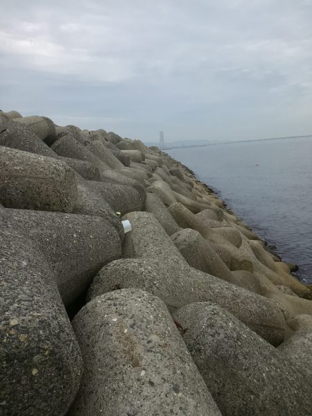 チョイ投げキス