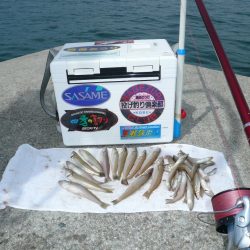 今シーズン３回目の津名釣行