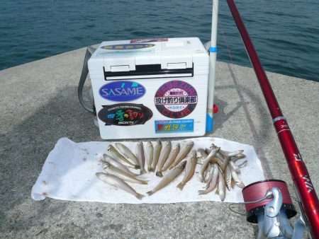 今シーズン３回目の津名釣行