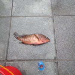 会社のみんなでプチ大会