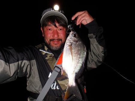 岸壁ＳＬＫ爆釣♪