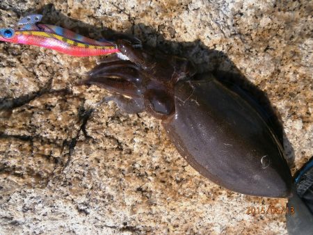 宇宙からの使者