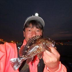 鶴浜緑地 釣り解放区