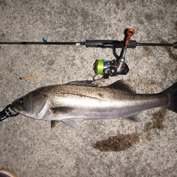 バチ抜けパターン！