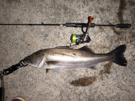 バチ抜けパターン！