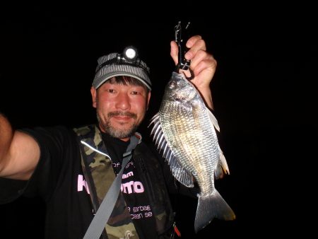 癒やしのキビレゲーム