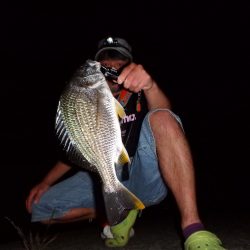 甲子園浜 東岸壁 キビレ絶好調♪