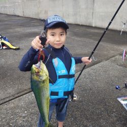 ダイソージグでシイラ