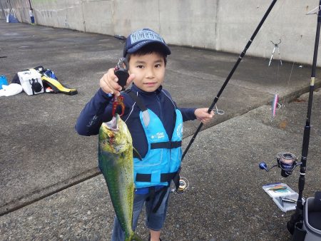 ダイソージグでシイラ