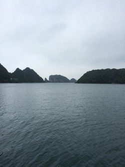 梅雨の合間にメタルマルで