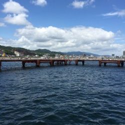 家族でサビキ釣り