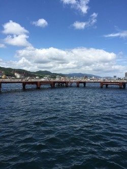 家族でサビキ釣り