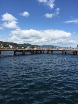 家族でサビキ釣り