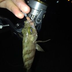 30分間だけのメバリング