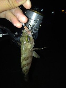 30分間だけのメバリング