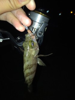 30分間だけのメバリング