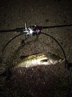 バチ抜けパターン