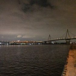 不本意なクラゲング