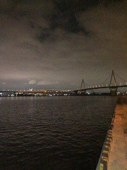 不本意なクラゲング