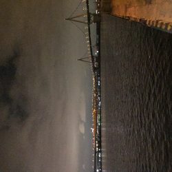 不本意なクラゲング