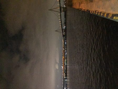 不本意なクラゲング