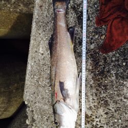 ショアプラッキング