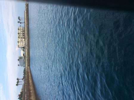 一時間半だけサビキ釣り