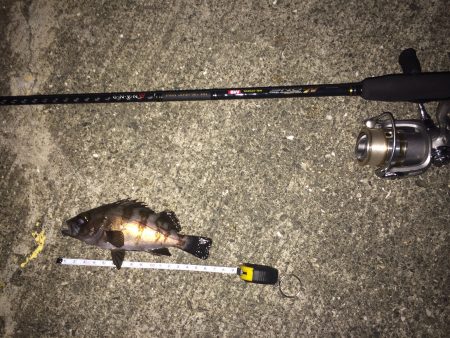 ライトゲームに行って来ました！