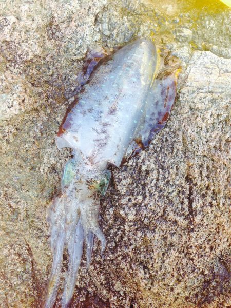 久しぶりの一杯