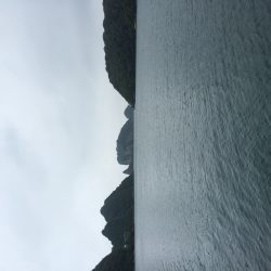 梅雨の合間にメタルマルで