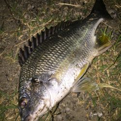 仕事終わってなんとなく