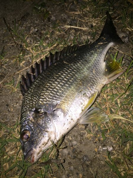 仕事終わってなんとなく