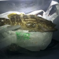 田辺と白浜周辺をランガン