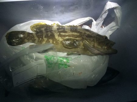 田辺と白浜周辺をランガン