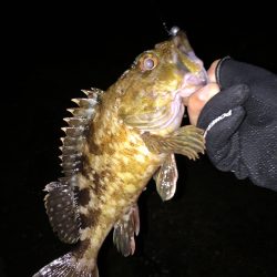 うっぷん晴らし