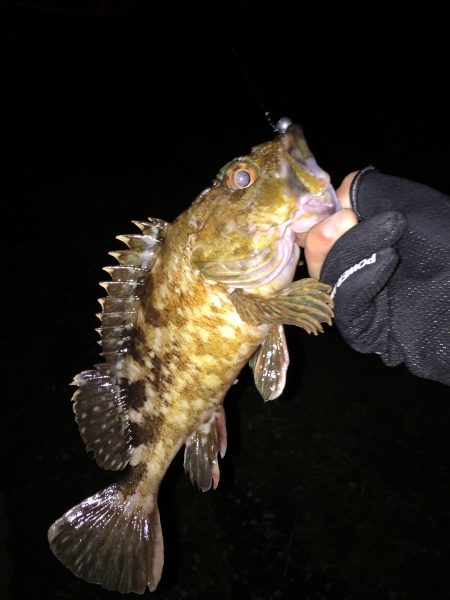 うっぷん晴らし