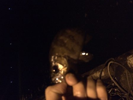 悪天候のアジング&メバリング