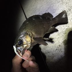 好調は長く続きません…