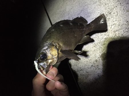 好調は長く続きません…