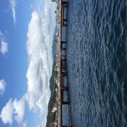 家族でサビキ釣り