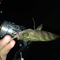 30分間だけのメバリング