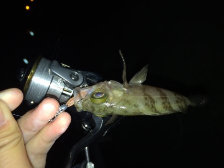 30分間だけのメバリング