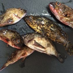 オンスタックル主催のイベントで