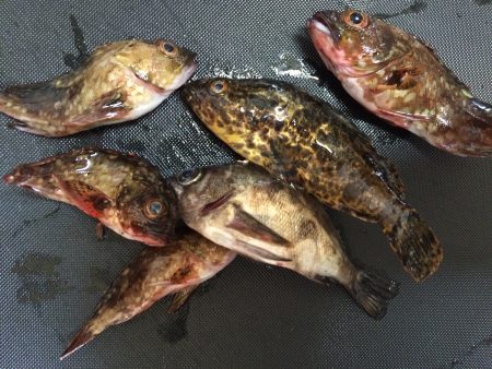 オンスタックル主催のイベントで