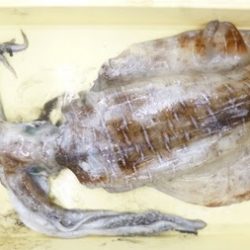 キロUPきた〜！