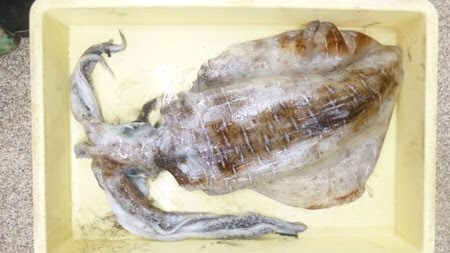 キロUPきた〜！