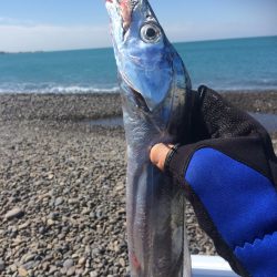 煙樹ヶ浜でショアジギング